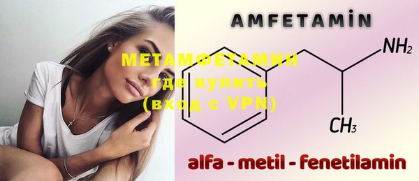 индика Абаза