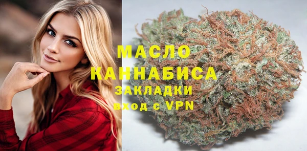 индика Абаза