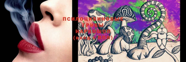 спиды Алексеевка